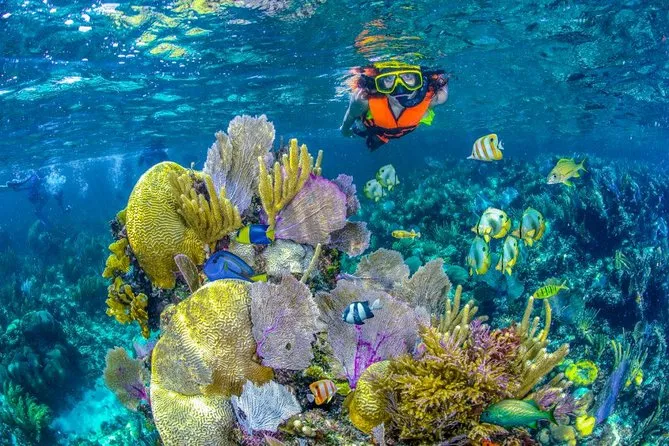 National Reef Park of Puerto Morelos