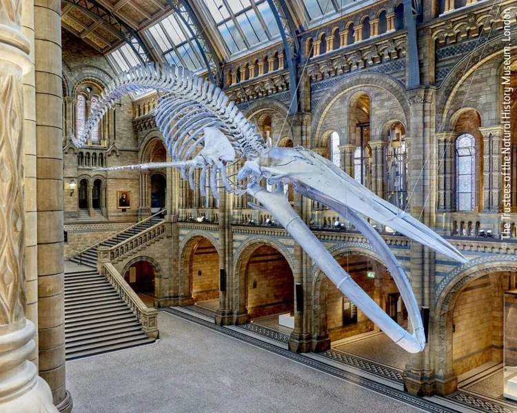 Natural History Museum