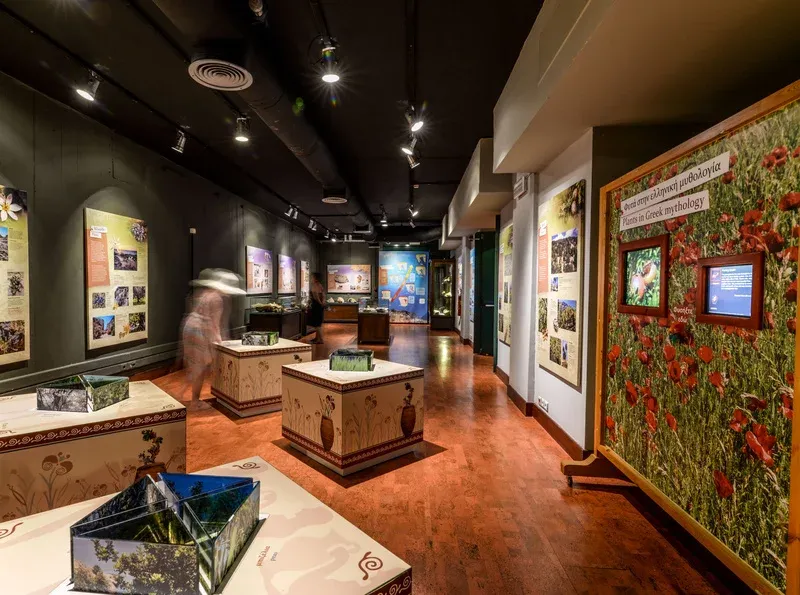 Natural History Museum of Crete