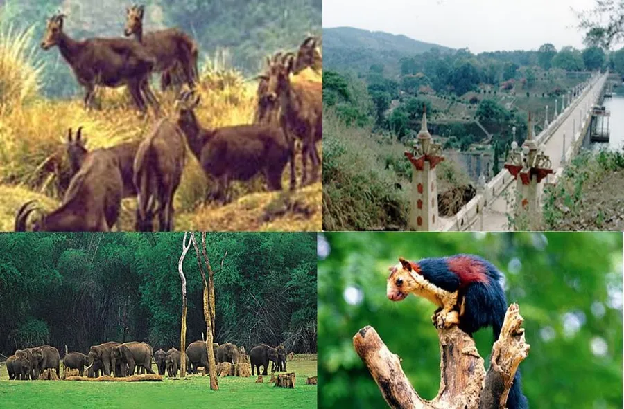 Neyyar Wildlife Sanctuary