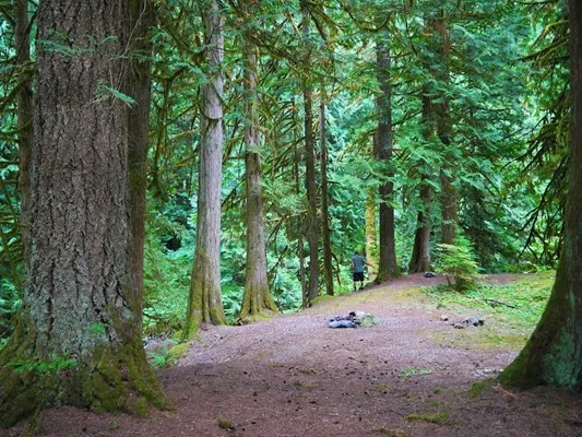 Nicolum River Provincial Park