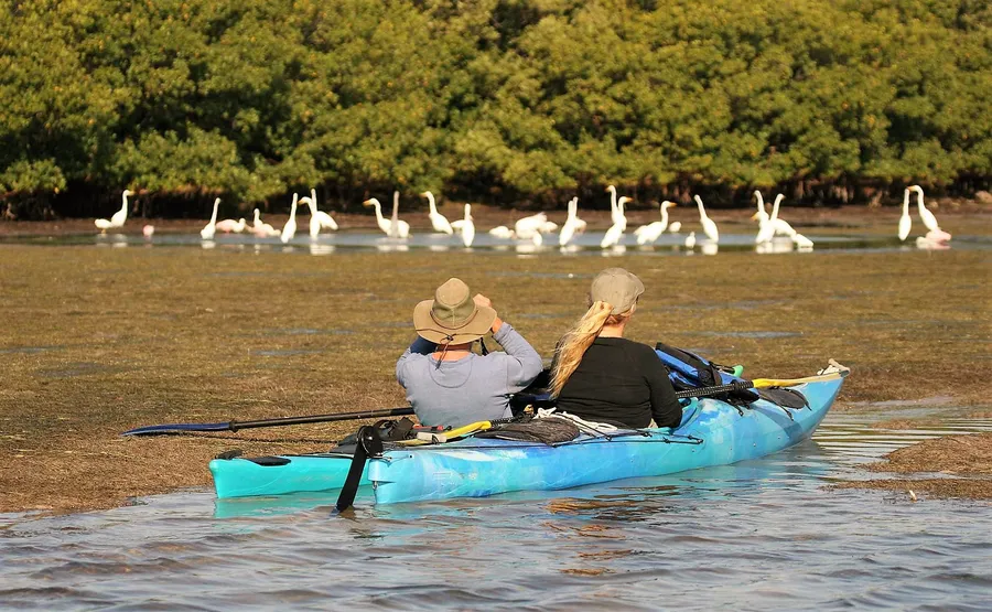 Observar Aves na Carrasqueira