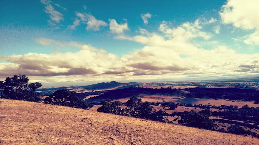 One Tree Hill Lookout