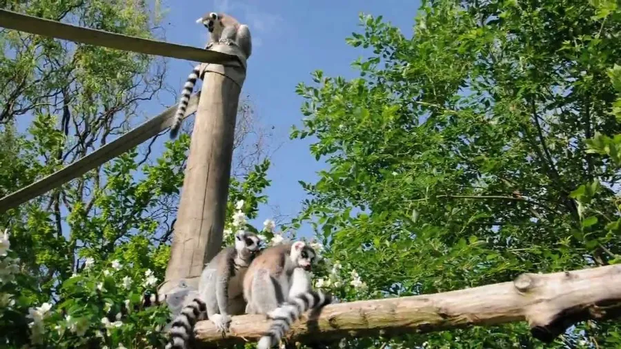 Opole Zoo