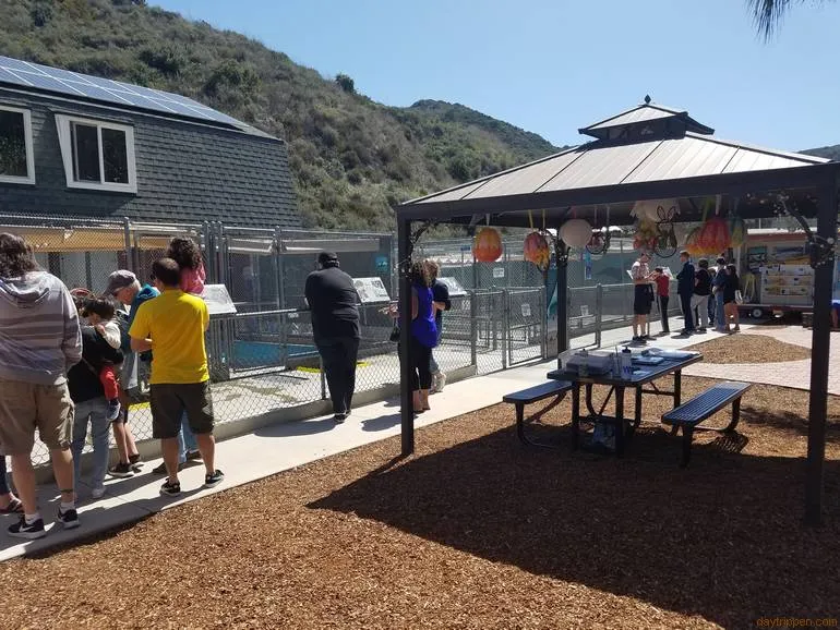 Pacific Marine Mammal Center