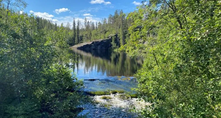 Pallas-Yllästunturi National Park