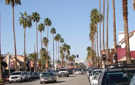 Palm Canyon Drive