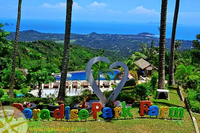 Paradise Park Farm