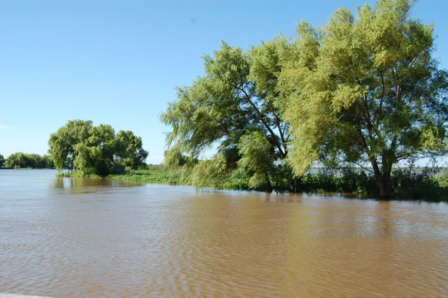 Paraná River Delta Islands