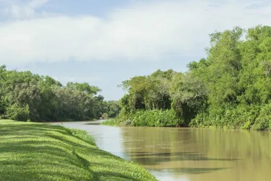 Parque Nacional Predelta
