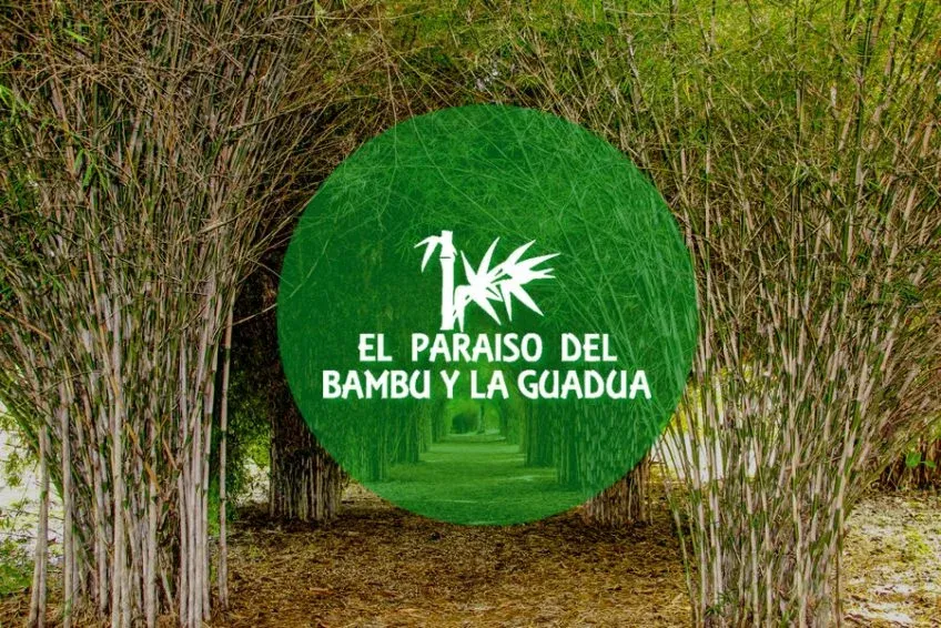 Parque de la Guadua y el Bambú