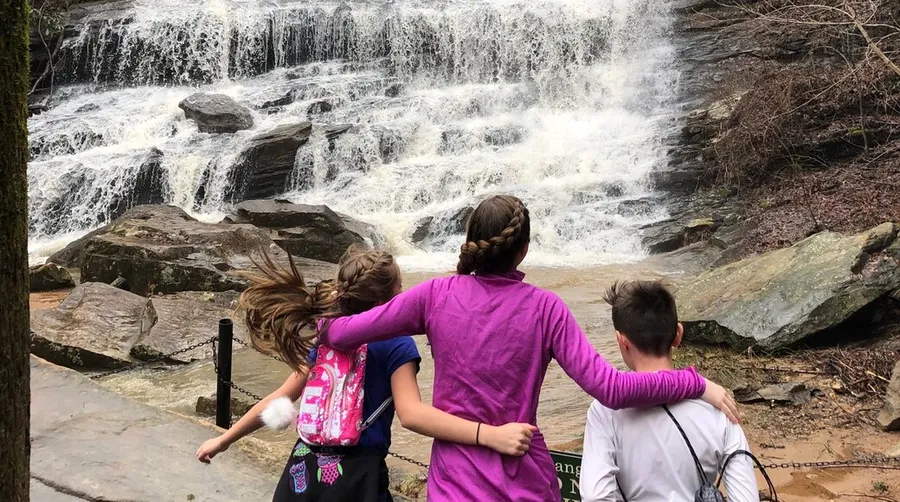 Pearson's Falls