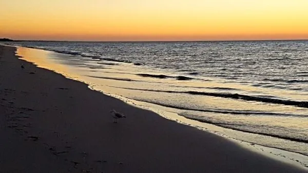 Pinks Beach