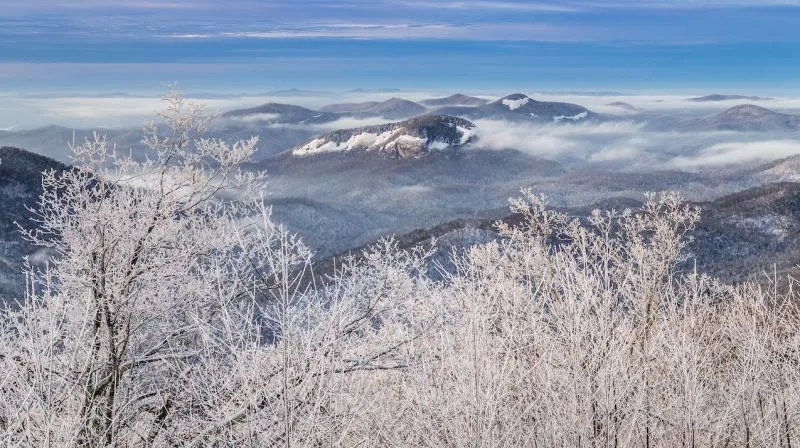 Pisgah National Forest
