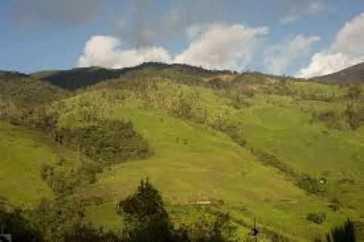 Podocarpus National Park