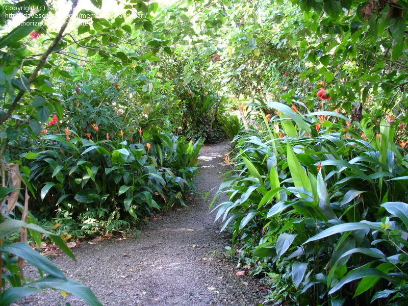 Pohnpei Botanical Garden