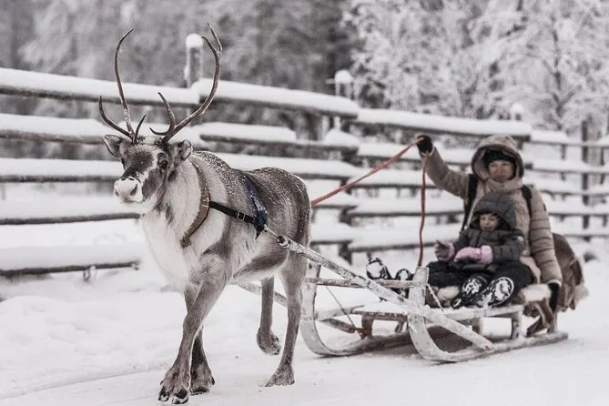 Poro Farmi Reindeer Farm
