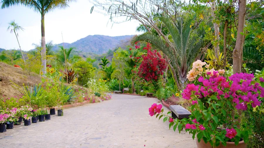 Puerto Vallarta Botanical Gardens