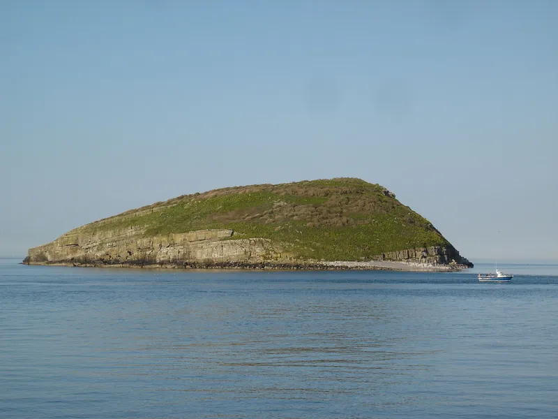Puffin Island (Ynys Seiriol)