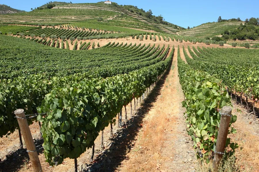 Quinta da Roeda