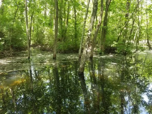 Rangeline Nature Preserve