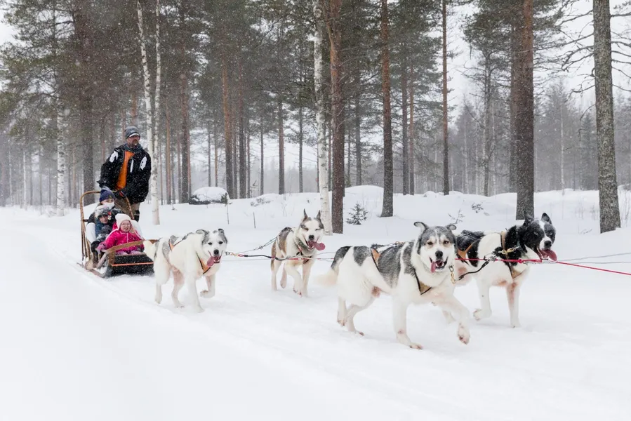 Ranua Husky Park