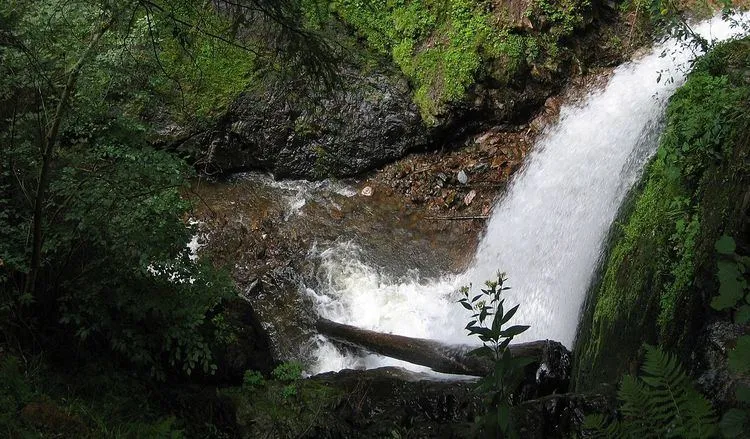 Ravenna Gorge