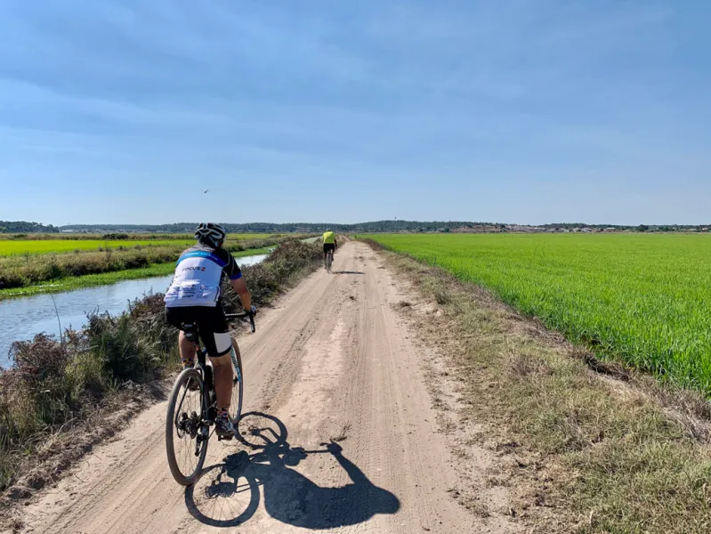 Rice Fields of Comporta