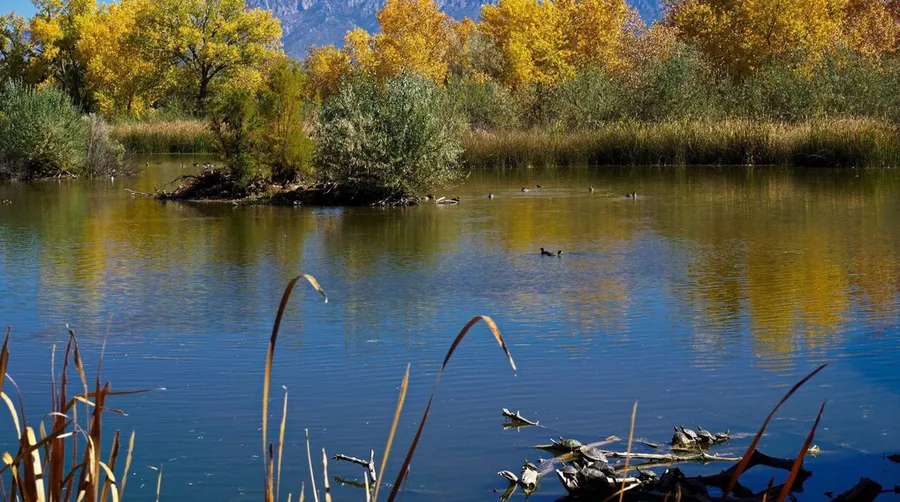 Rio Grande Nature Center State Park