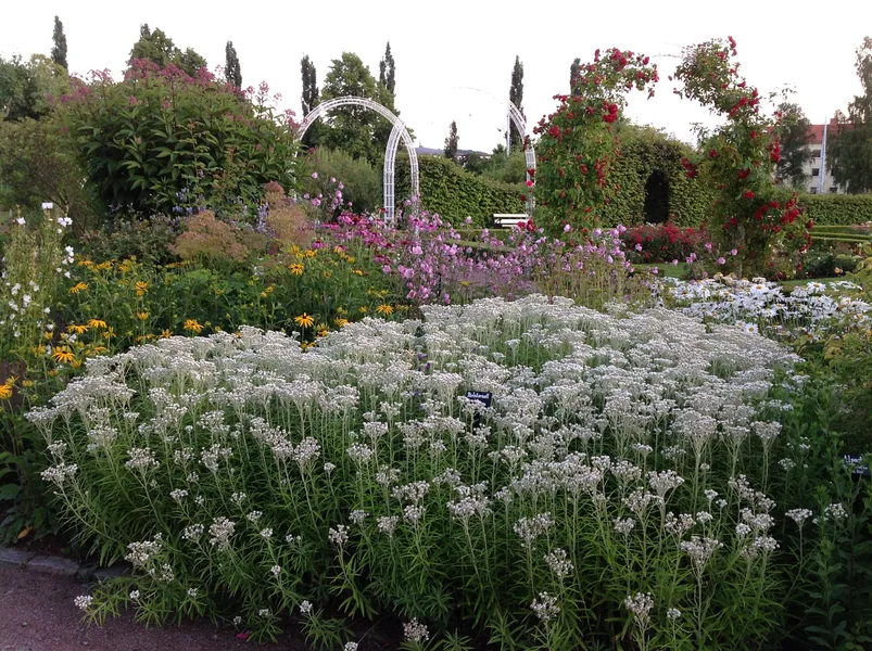 Rosenlunds Rosarium