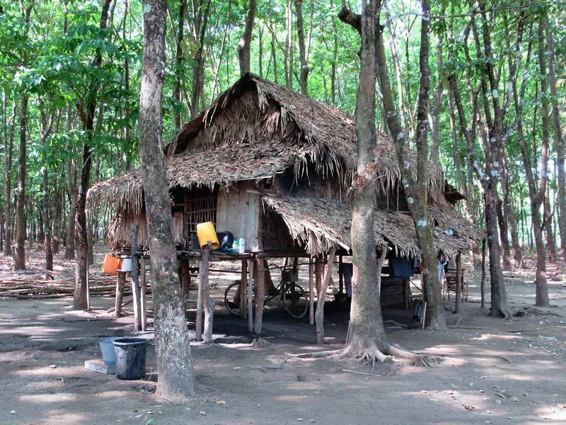 Rubber Plantations
