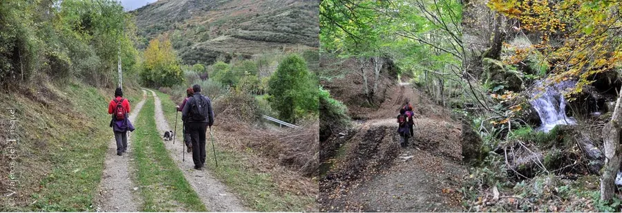 Ruta de los Puentes Colgantes