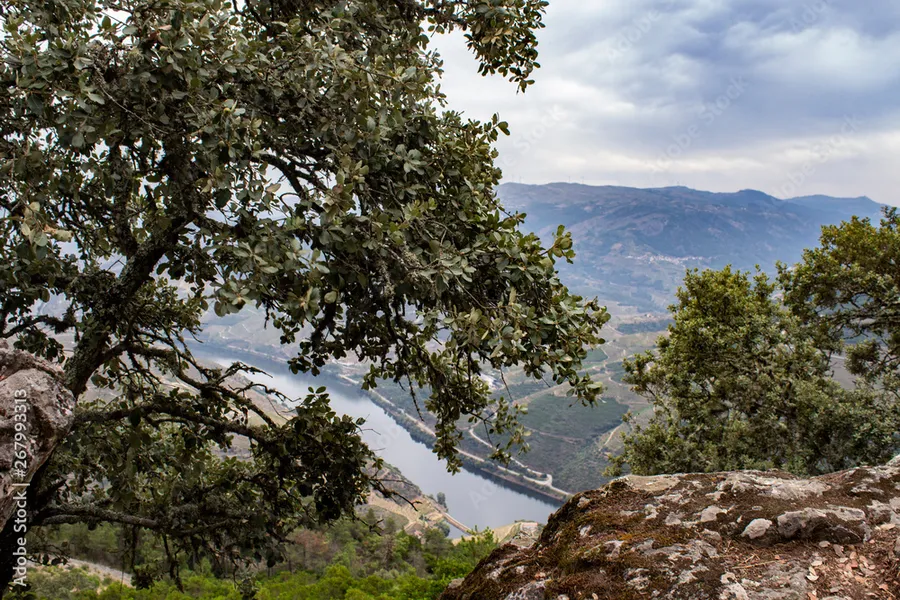 São Leonardo da Galafura Viewpoint