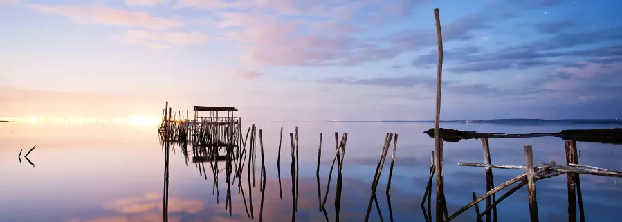 Sado Estuary Natural Reserve