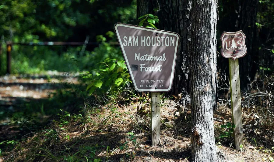 Sam Houston National Forest