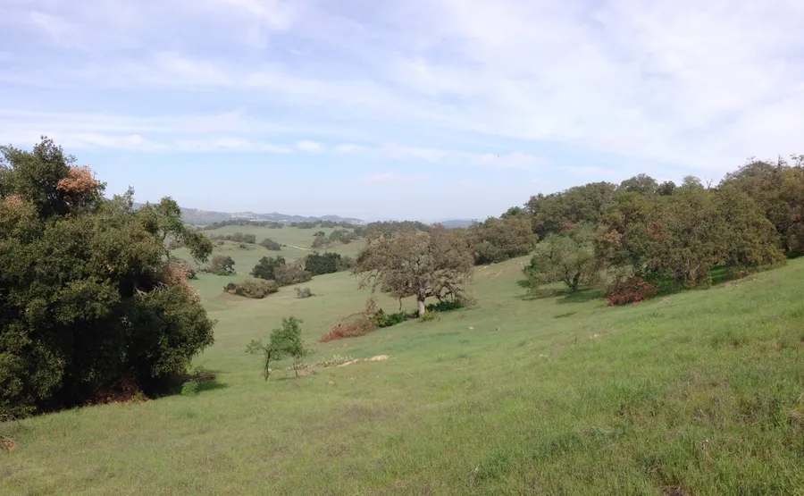Santa Rosa Plateau Ecological Reserve