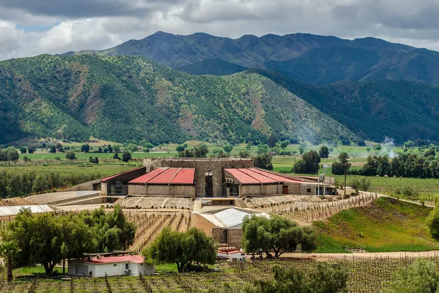Santo Tomás Wine Region
