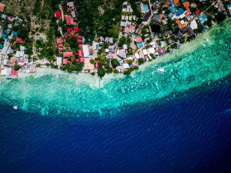 Sardine Run (Moalboal)