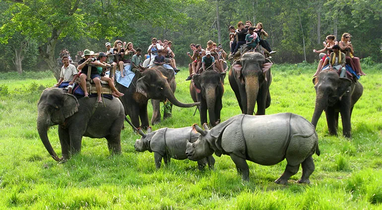Sauraha