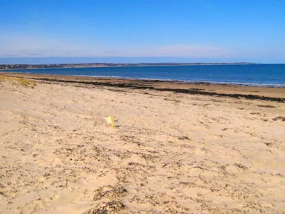 Scusset Beach State Reservation