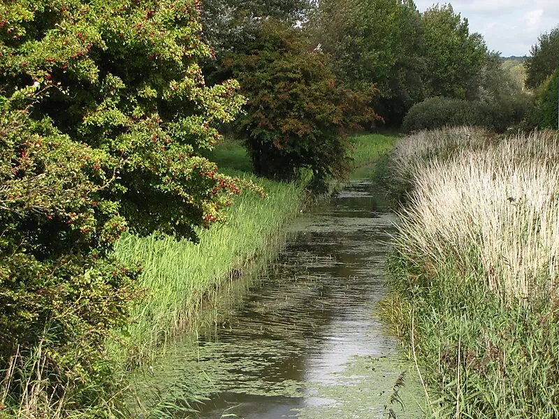Senlac Hill