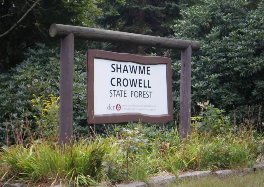 Shawme-Crowell State Forest