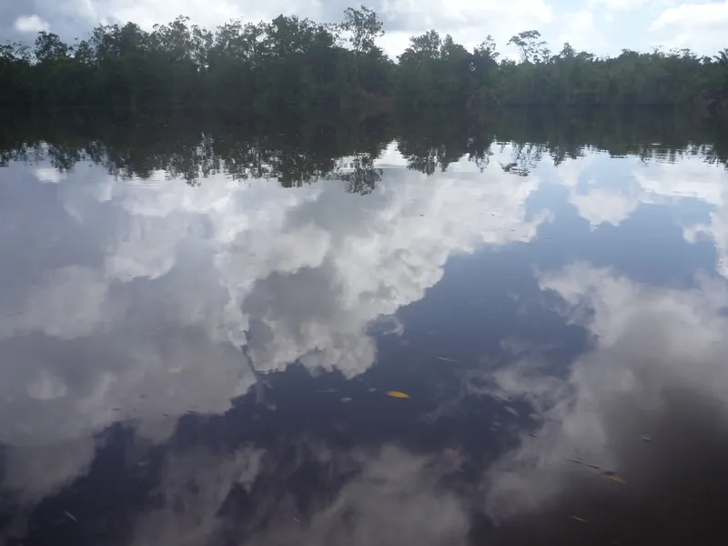 Shell Beach Protected Area