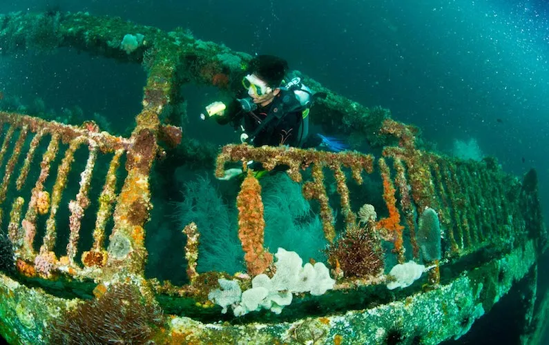 Skeleton Wreck