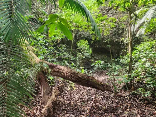 Soberania National Park