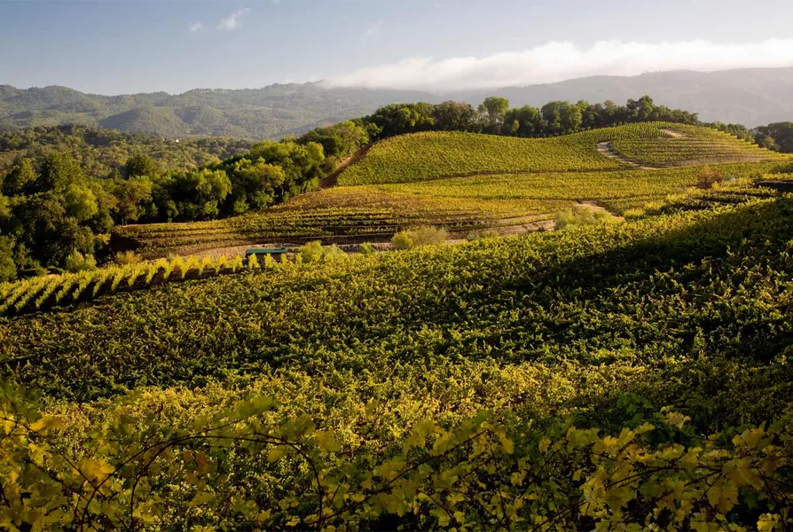 Sonoma Valley