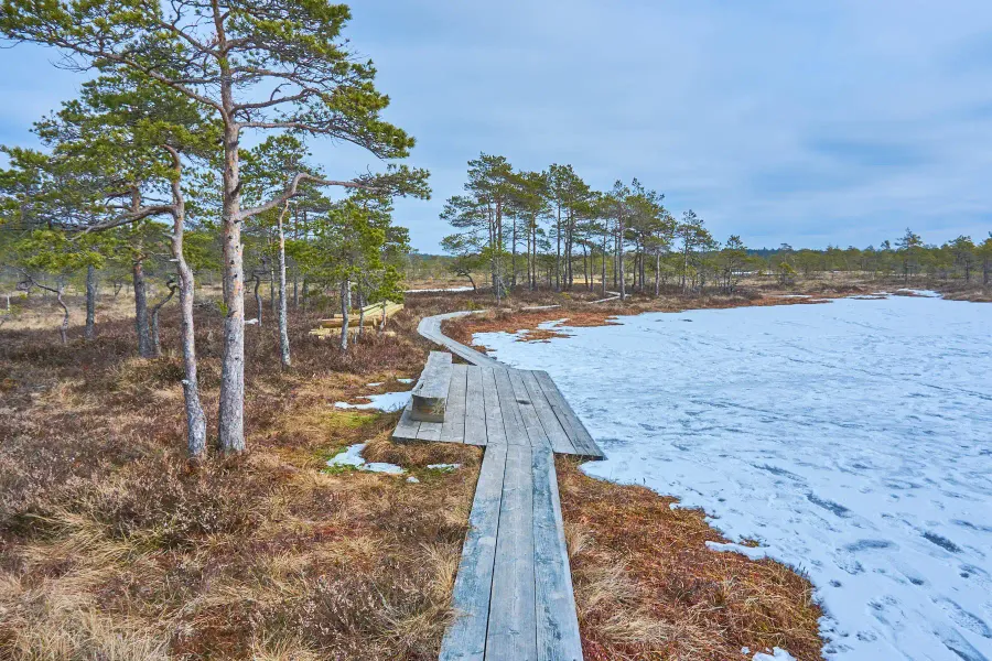 Soomaa National Park Nature Center