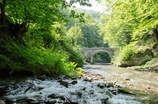 Stone Bridge on the Moravica