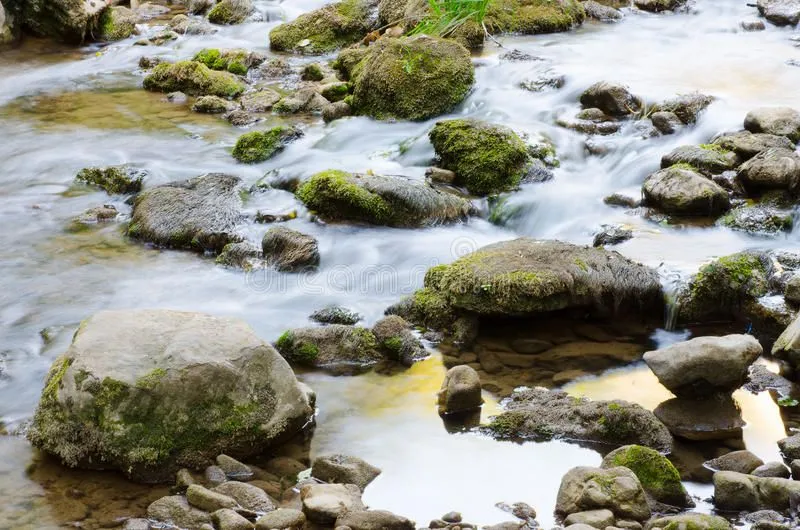 Stone River (Kamenorecki vir)