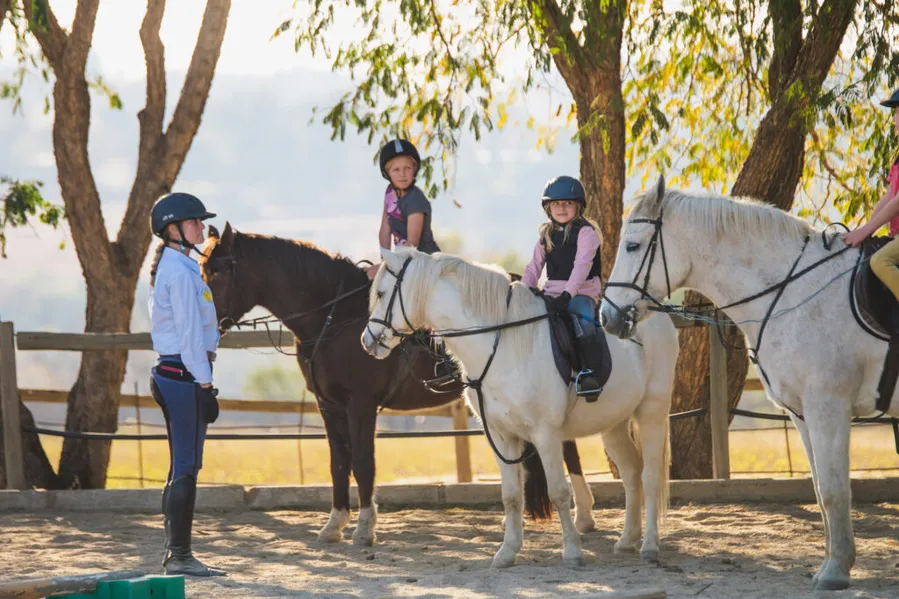 Sun Valley Stables